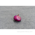 Fresh market prices red onion for importers